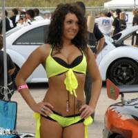 2008 Hot Imports Night - Car Show Girls