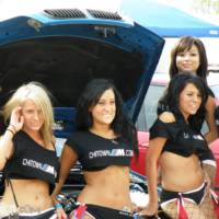 2008 Hot Imports Night - Car Show Girls
