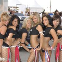 2008 Hot Imports Night - Car Show Girls