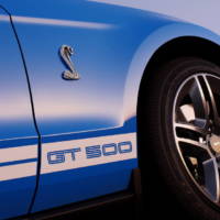 2010 Ford Shelby GT500 details and photos