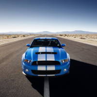 2010 Ford Shelby GT500 details and photos