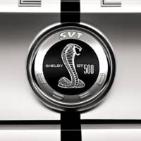 2010 Ford Shelby GT500 details and photos