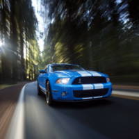 2010 Ford Shelby GT500 details and photos