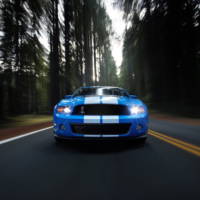 2010 Ford Shelby GT500 details and photos