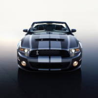 2010 Ford Shelby GT500 details and photos