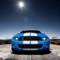 2010 Ford Shelby GT500 details and photos