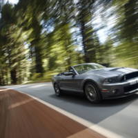 2010 Ford Shelby GT500 details and photos