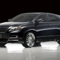 2010 Lexus RX350 Black Bison Edition