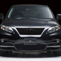 2010 Lexus RX350 Black Bison Edition