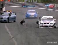 Video : Franz Engstler Crashes into Un-Safety Car in WTCC