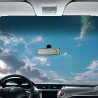 2009 Citroen C3