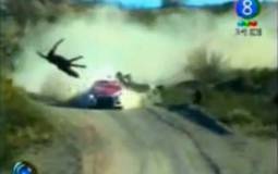 Video : Rally Car hits horse