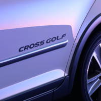 2010 Volkswagen CrossGolf