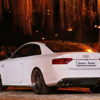 Senner Audi S5