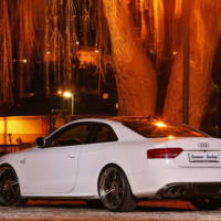 Senner Audi S5