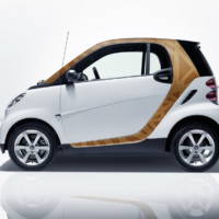 Smart Fortwo Styling Accessories