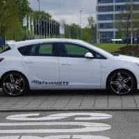 Steinmetz 2010 Opel Astra