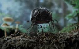 2012 Volkswagen Beetle Commercial Teaser