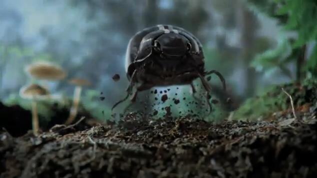 2012 Volkswagen Beetle Commercial Teaser
