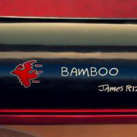 Rinspeed BamBoo Concept photos and details