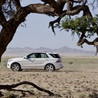 2012 Mercedes ML Detailed