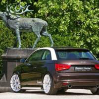 Senner Tuning targets the Audi A1 1.4 TFSI S Tronic