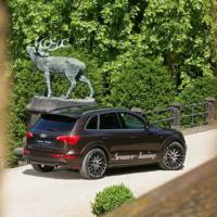 Senner Tuning Audi Q5