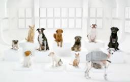 Volkswagen 2012 Super Bowl Ad Teaser