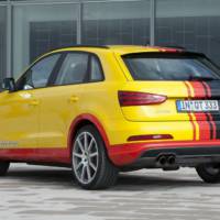 MTM Audi Q3 and Volkswagen T5