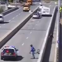 Bus Driver Block Hit and Run Driver