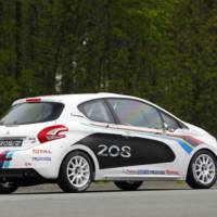 Peugeot 208 R2 Rally Car Unveiled