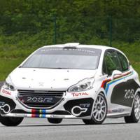 Peugeot 208 R2 Rally Car Unveiled