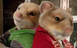 Video: Party at the opera with Kia Soul Hamsters