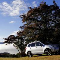 MEGA GALLERY: 180 images with the 2013 Subaru Forester