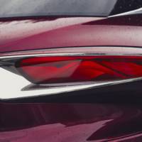 Citroen DS Wild Rubis - official photos and details