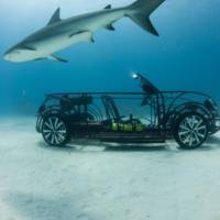 Volkswagen Beetle Convertible - This year Shark Week surprise