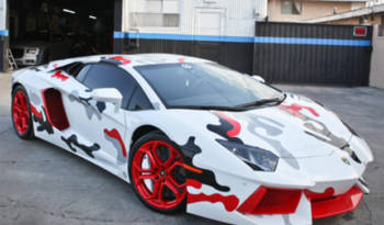 Chris Brown's customized Lamborghini Aventador