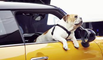 2014 Mini model expected 18th november