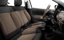 Citroen C4 Cactus unveiled