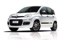 Fiat Panta Young and Punto Young introduced