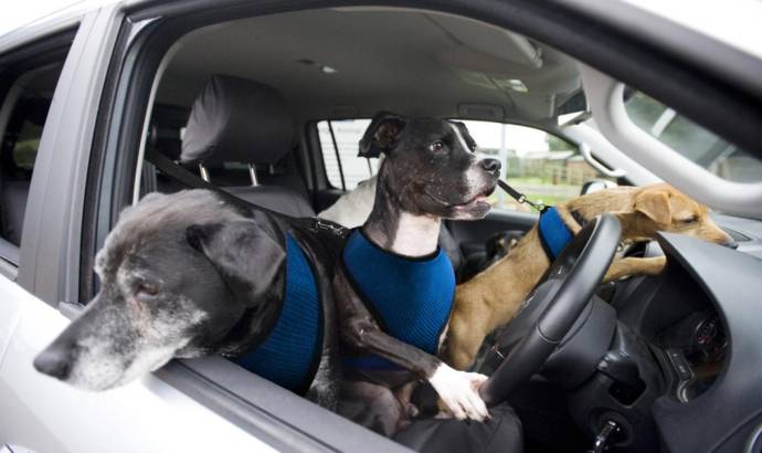 April's Fools Day: Volkswagen paw-wheel-drive program unveiled