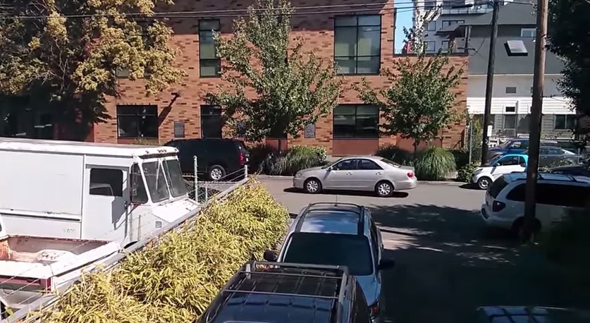 VIDEO: Parallel park - Lesson 101