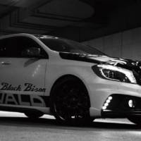 Wald International Mercedes A Class