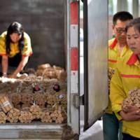 Chinese man paid his car with coins