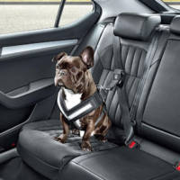 Skoda launches accesories to transport dogs in the car
