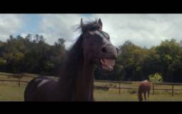 Volkswagen Trailer Assist - The funniest ad of the year