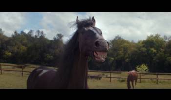 Volkswagen Trailer Assist - The funniest ad of the year