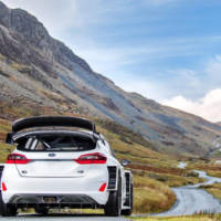 2017 Ford Fiesta WRC - Official pictures and details