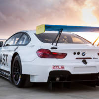 BMW M6 GTLM Art Car by John Baldessari - Official pictures and details