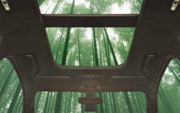 Ford could use bamboo in their cars